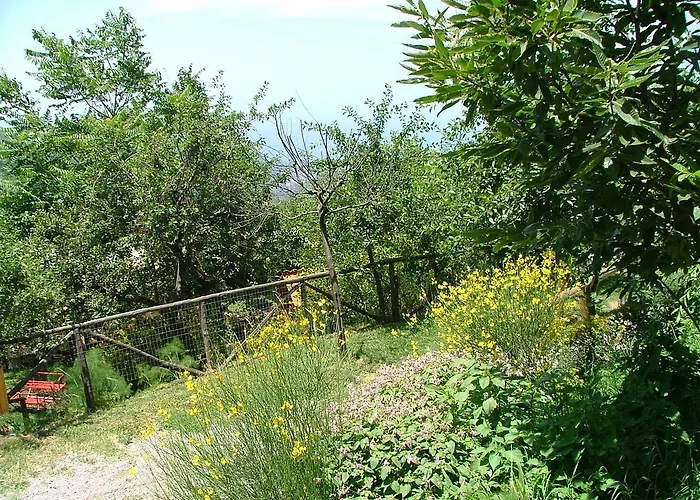 Agriturismo La Ginestra Villa Vico Equense